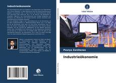 Industrieökonomie kitap kapağı
