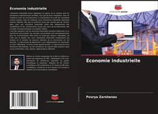 Économie industrielle的封面