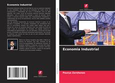 Economia Industrial kitap kapağı