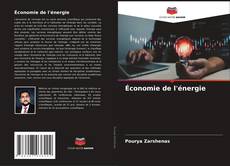 Capa do livro de Économie de l'énergie 