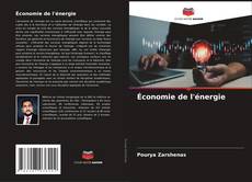 Couverture de Économie de l'énergie