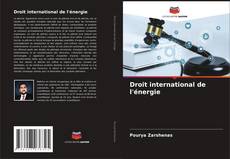 Buchcover von Droit international de l'énergie