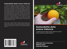 Sostenibilità delle arance Valencia kitap kapağı