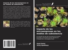 Impacto de las microempresas en los medios de subsistencia kitap kapağı