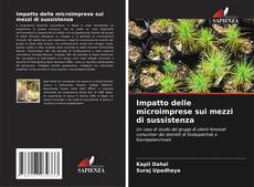 Capa do livro de Impatto delle microimprese sui mezzi di sussistenza 