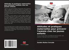 Copertina di Attitudes et pratiques maternelles pour prévenir l'anémie chez les jeunes enfants