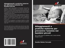 Bookcover of Atteggiamenti e pratiche materne per prevenire l'anemia nei bambini piccoli