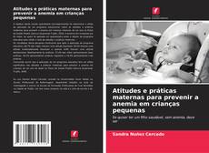 Atitudes e práticas maternas para prevenir a anemia em crianças pequenas kitap kapağı