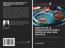 Capa do livro de ANÁLISIS DE LA PRODUCCIÓN DE PHB A PARTIR DE UNA CEPA HALÓFILA 
