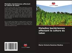 Buchcover von Maladies bactériennes affectant la culture du tabac