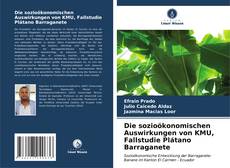 Capa do livro de Die sozioökonomischen Auswirkungen von KMU, Fallstudie Plátano Barraganete 
