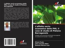 Copertina di L'effetto socio-economico delle PMI, il caso di studio di Plátano Barraganete