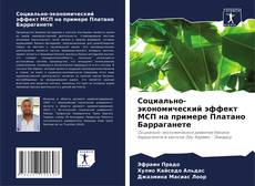 Bookcover of Социально-экономический эффект МСП на примере Платано Барраганете