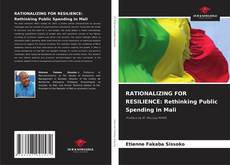 RATIONALIZING FOR RESILIENCE: Rethinking Public Spending in Mali kitap kapağı