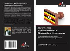 Bookcover of Yowerinomics, Tibuhaburwarismo e Dispensazione Museninomica