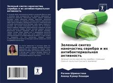 Bookcover of Зеленый синтез наночастиц серебра и их антибактериальная активность
