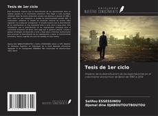 Bookcover of Tesis de 1er ciclo