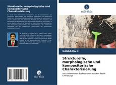 Bookcover of Strukturelle, morphologische und kompositorische Charakterisierung