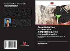 Buchcover von Caractérisation structurelle, morphologique et compositionnelle