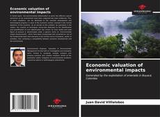 Portada del libro de Economic valuation of environmental impacts