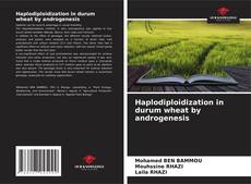 Buchcover von Haplodiploidization in durum wheat by androgenesis