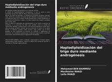 Bookcover of Haplodiploidización del trigo duro mediante androgénesis