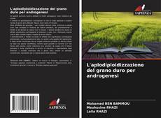 Capa do livro de L'aplodiploidizzazione del grano duro per androgenesi 
