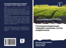 Portada del libro de Гаплодиплоидизация твердой пшеницы путем андрогенеза