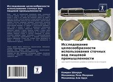 Bookcover of Исследование целесообразности использования сточных вод пищевой промышленности