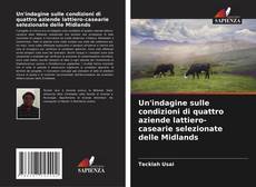 Bookcover of Un'indagine sulle condizioni di quattro aziende lattiero-casearie selezionate delle Midlands
