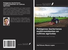Capa do livro de Patógenos bacterianos multirresistentes en cultivos agrícolas 