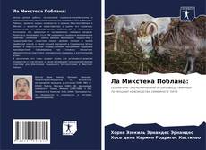 Bookcover of Ла Микстека Поблана: