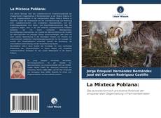 Bookcover of La Mixteca Poblana: