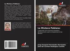 Couverture de La Mixteca Poblana: