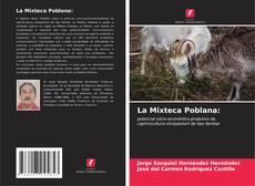 Portada del libro de La Mixteca Poblana: