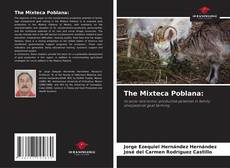 The Mixteca Poblana: kitap kapağı
