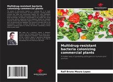 Couverture de Multidrug-resistant bacteria colonizing commercial plants