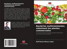 Capa do livro de Bactéries multirésistantes colonisant les plantes commerciales 