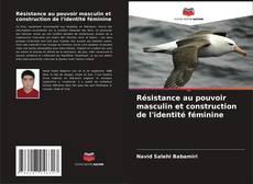 Bookcover of Résistance au pouvoir masculin et construction de l'identité féminine