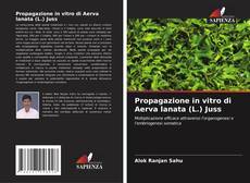 Buchcover von Propagazione in vitro di Aerva lanata (L.) Juss