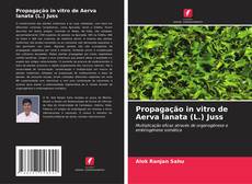 Buchcover von Propagação in vitro de Aerva lanata (L.) Juss