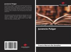 Juvencio Pulgar kitap kapağı
