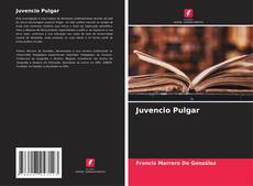 Buchcover von Juvencio Pulgar