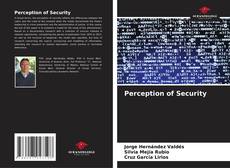 Capa do livro de Perception of Security 