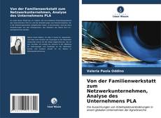 Capa do livro de Von der Familienwerkstatt zum Netzwerkunternehmen, Analyse des Unternehmens PLA 