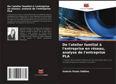 De l'atelier familial à l'entreprise en réseau, analyse de l'entreprise PLA kitap kapağı