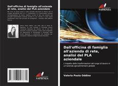 Bookcover of Dall'officina di famiglia all'azienda di rete, analisi del PLA aziendale