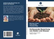 Bookcover of Umfassende Bewertung von Boden und Wasser