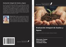 Buchcover von Evaluación Integral de Suelos y Aguas