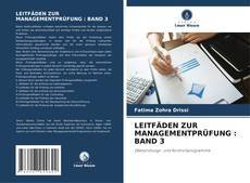 Copertina di LEITFÄDEN ZUR MANAGEMENTPRÜFUNG : BAND 3